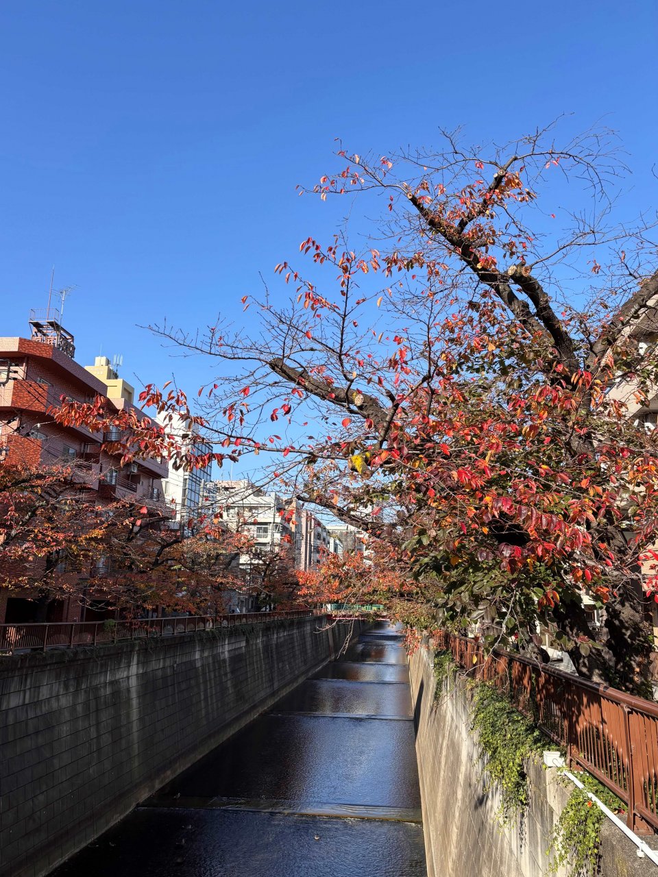 いよいよ☆の画像